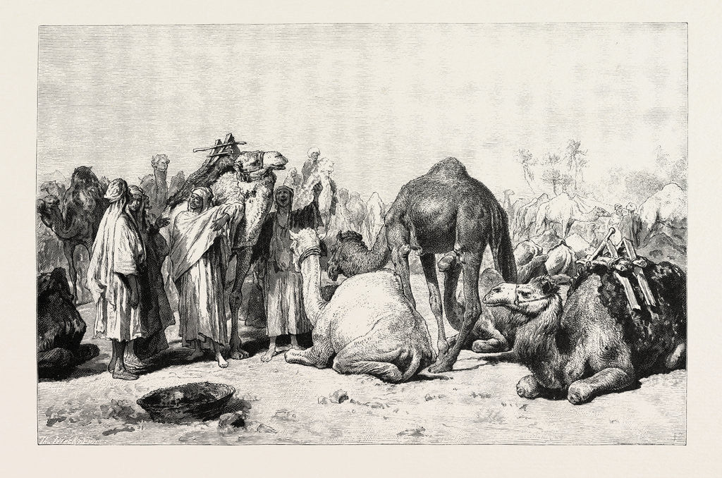 Detail of Camel Market by Anonymous