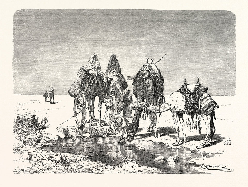 Detail of A Spring in the Desert by Anonymous