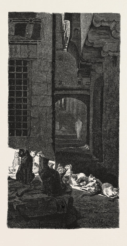 Detail of A Congress of Cats in the Sun by Anonymous