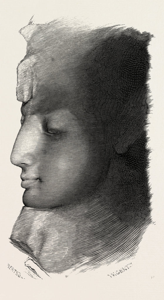 Detail of Head of Queen Nefertari by Anonymous