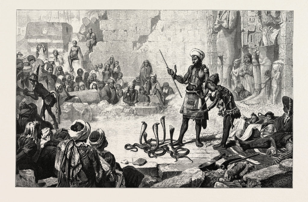 Detail of Snake Charmer in the Court of Medinet Haboo by Anonymous