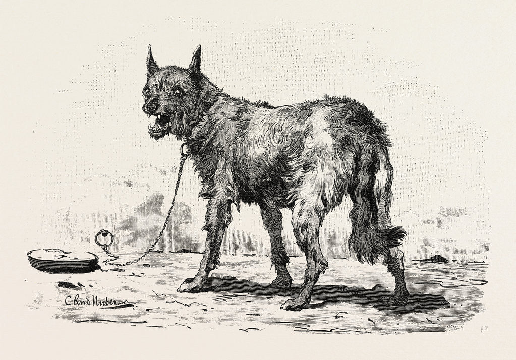 Detail of A Dog at Erment by Anonymous