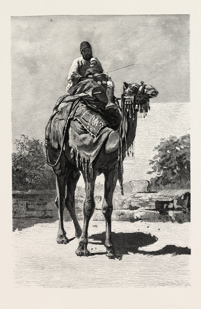Detail of Camel Rider by Anonymous