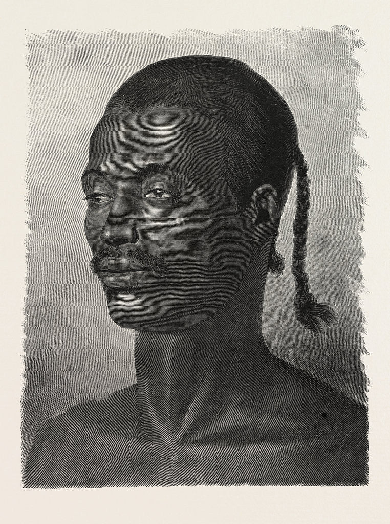 Detail of Abyssinian by Anonymous