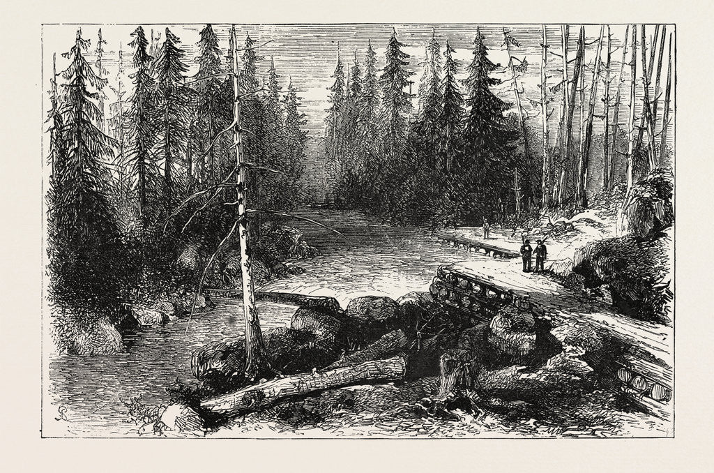 Detail of The Red River Expedition: Dawson's Road, 1870, Canada by Anonymous