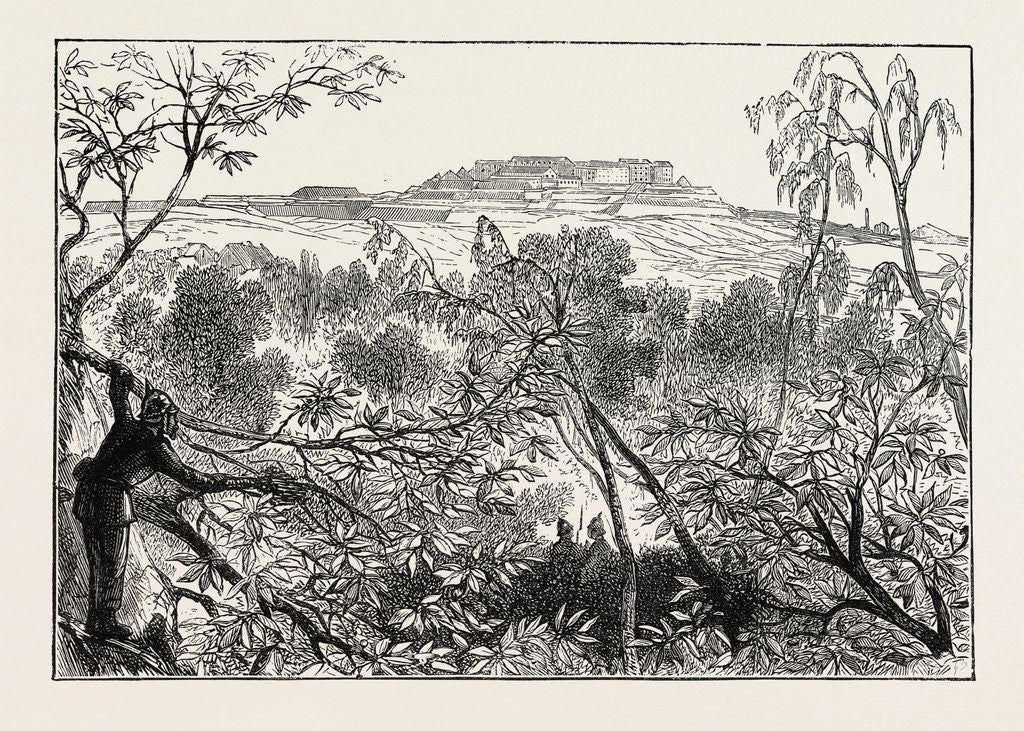 Detail of A Peep at Mont Valerien: The Woods of Celle St. Cloud, France, 1870 by Anonymous