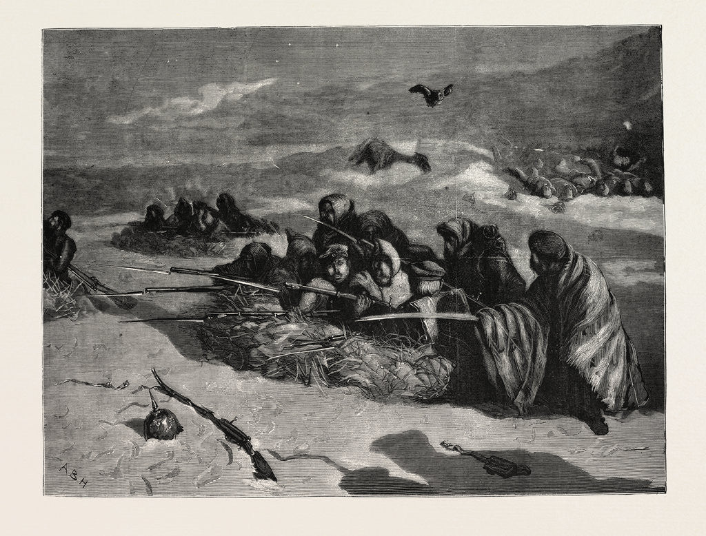 Detail of Buried Quick and Unburied Dead, 1870 by Anonymous