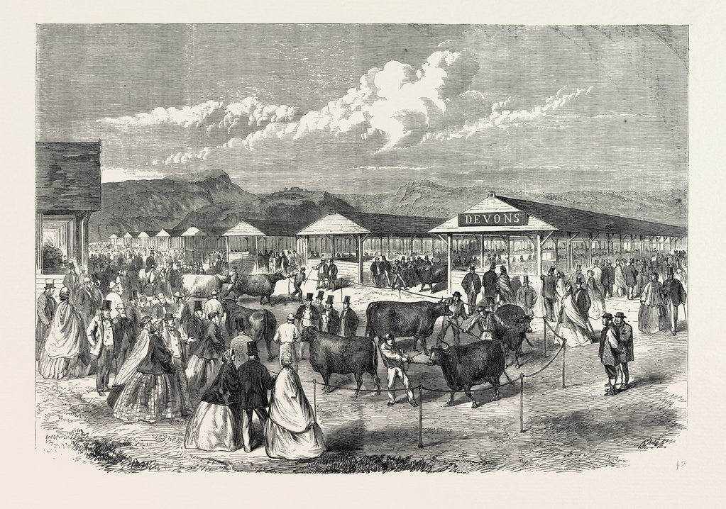 Detail of Judging the Cattle at the Plymouth Agricultural Show, UK, 1865 by Anonymous