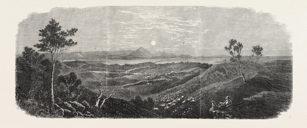Detail of The Gold Fields of Australia: Mount Ararat, 1865 by Anonymous