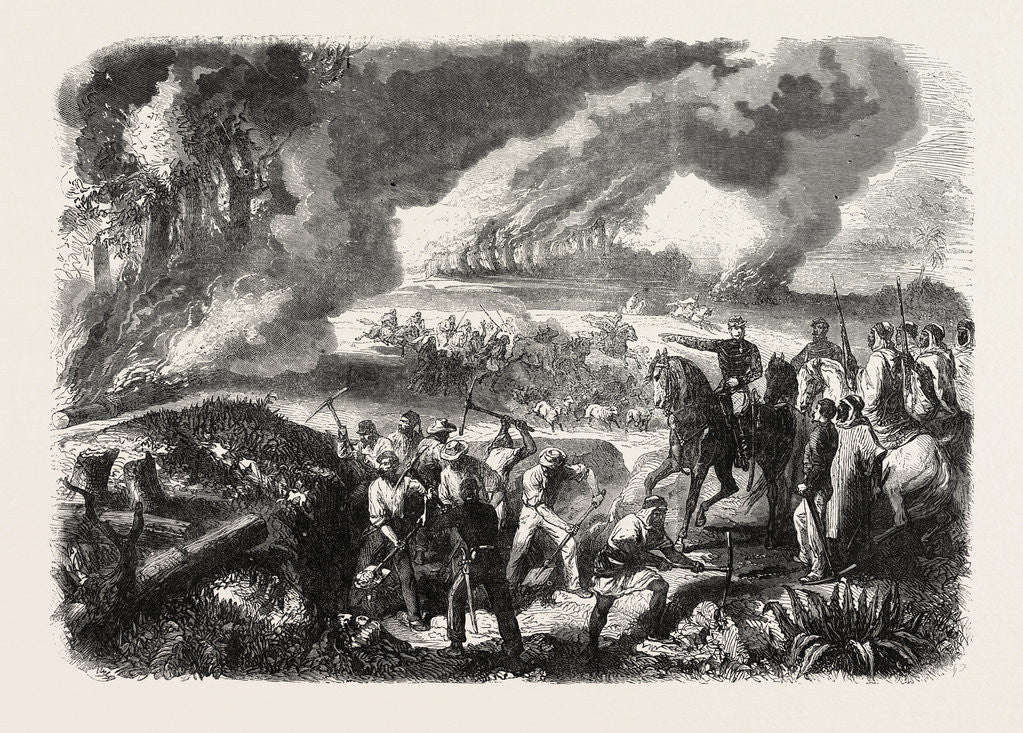 Detail of Burning of Cork-Tree Forests, in the District of Jemappes, Philipville, Algeria, 1865 by Anonymous
