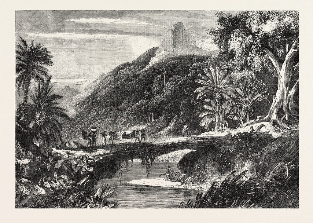 Detail of A Forest Scene in Madagascar, 1865 by Anonymous