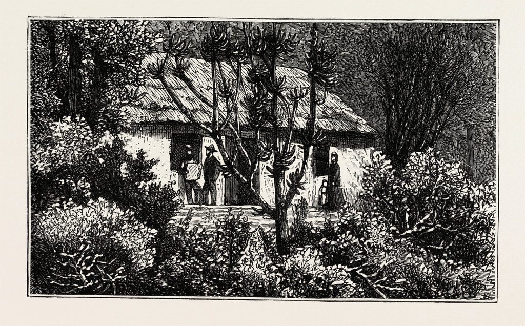 Detail of A Cottage in the Bush, Cape Colony, South Africa by Anonymous