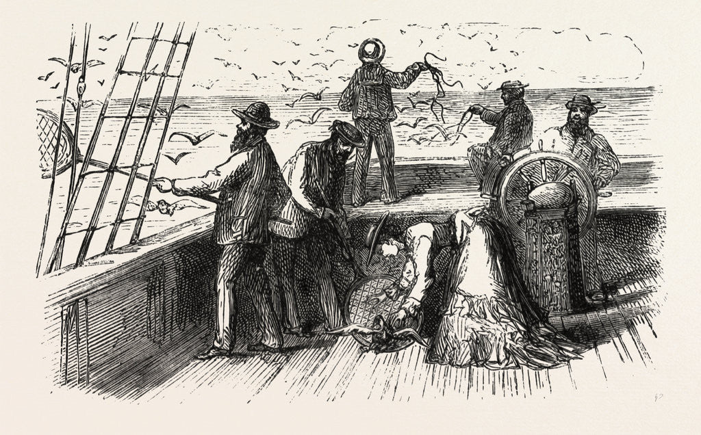 Detail of Catching Cape-Pigeons in the Gulf of Pegas by Anonymous