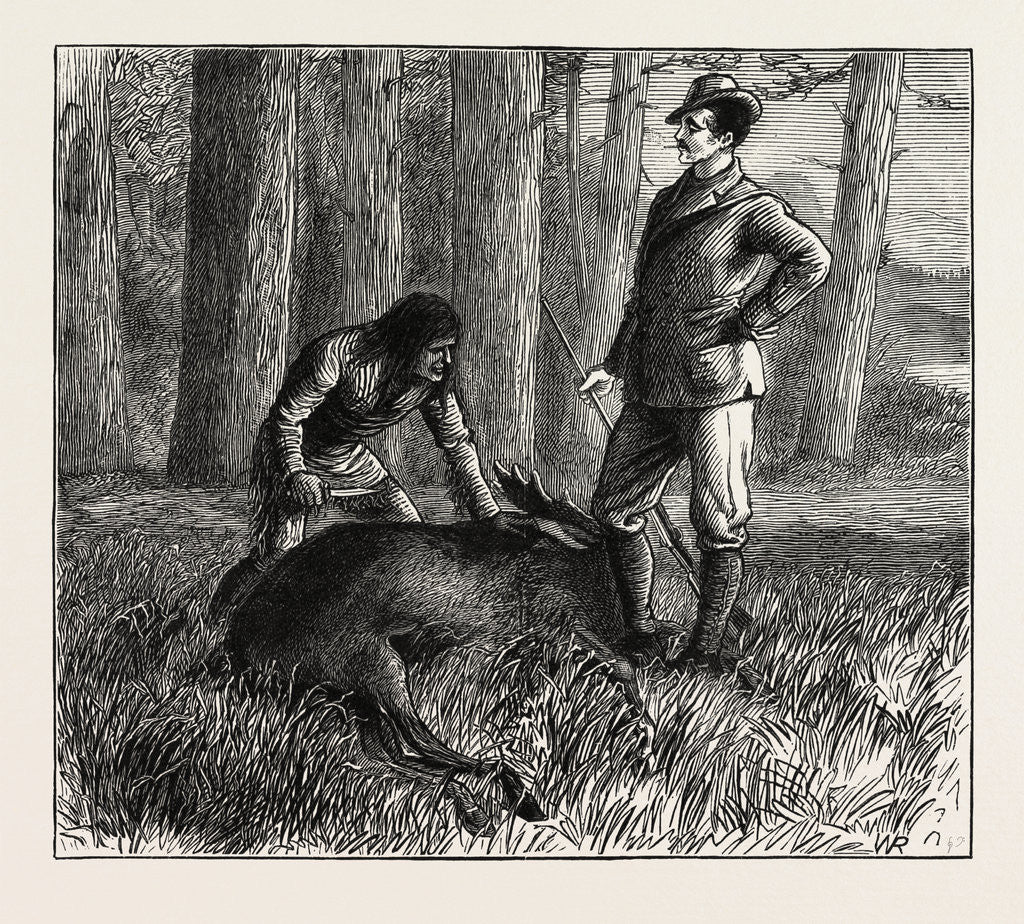 Detail of The Dead Moose by Anonymous