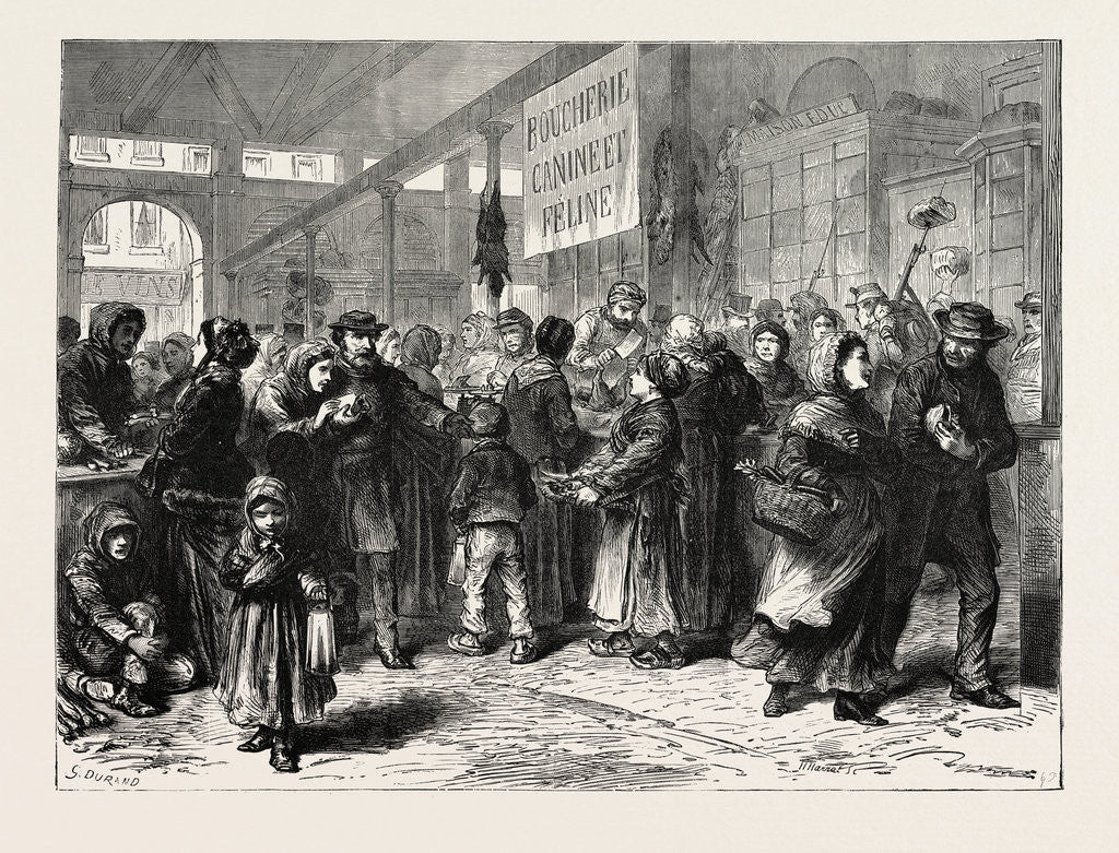 Detail of A Dog and Cat Butcher's in Paris, France, 1871 by Anonymous