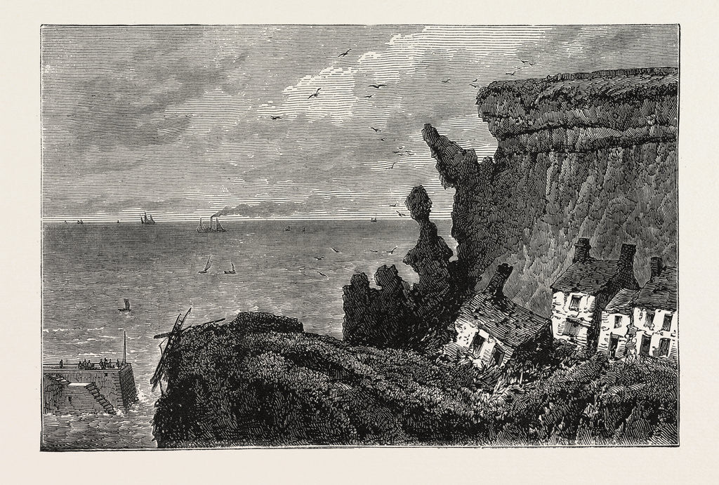 Detail of The Landslip at Whitby, UK, 1871 by Anonymous