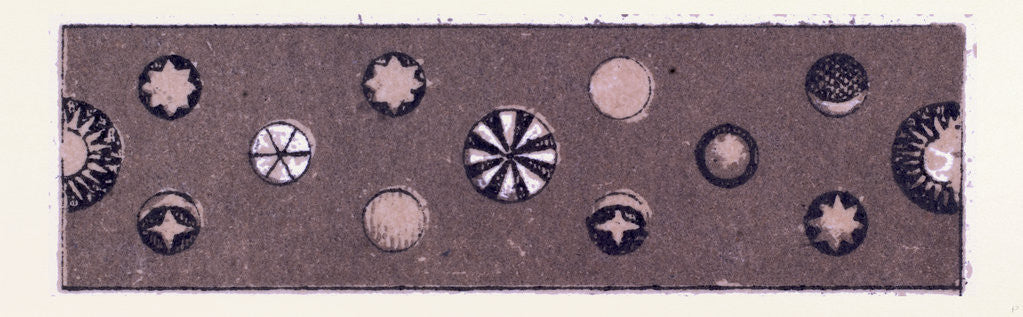 Detail of Renaissance Ornament by Anonymous