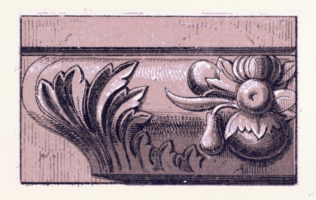 Detail of Renaissance Ornament by Anonymous