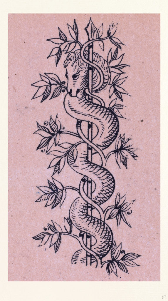 Detail of Italian Ornament by Anonymous