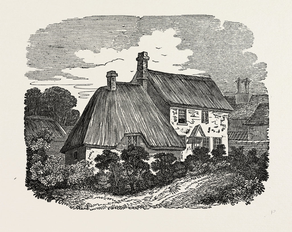 Detail of The Birthplace of Addison by Anonymous