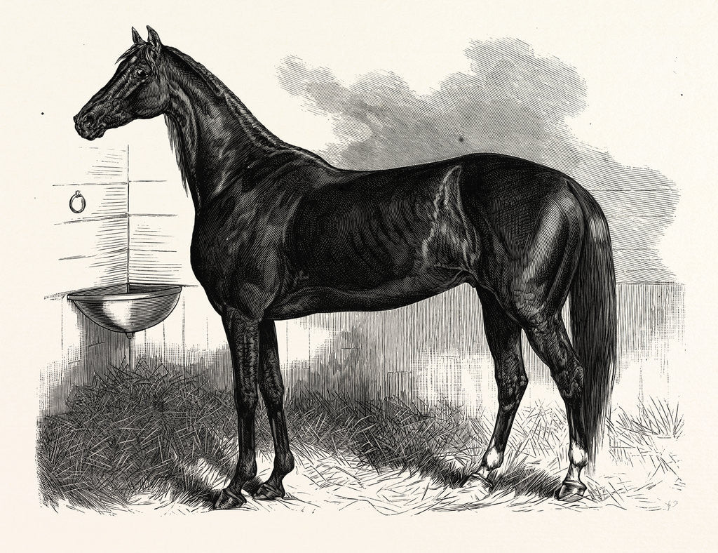 Detail of Connecticut: St. Julien Who Beat His Own and the Best One-Mile Record at the Charter Oak Course Hartford by Anonymous