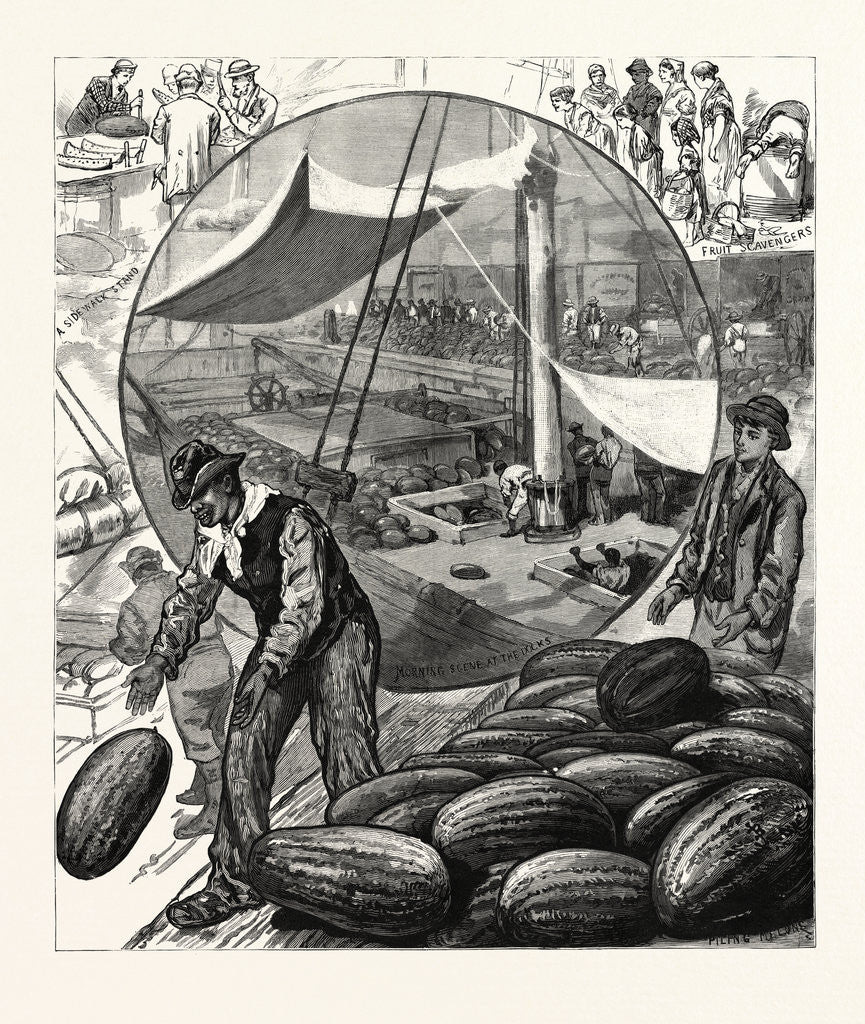Detail of New York: Incidents of the Watermelon Trade in the Metropolis by Anonymous