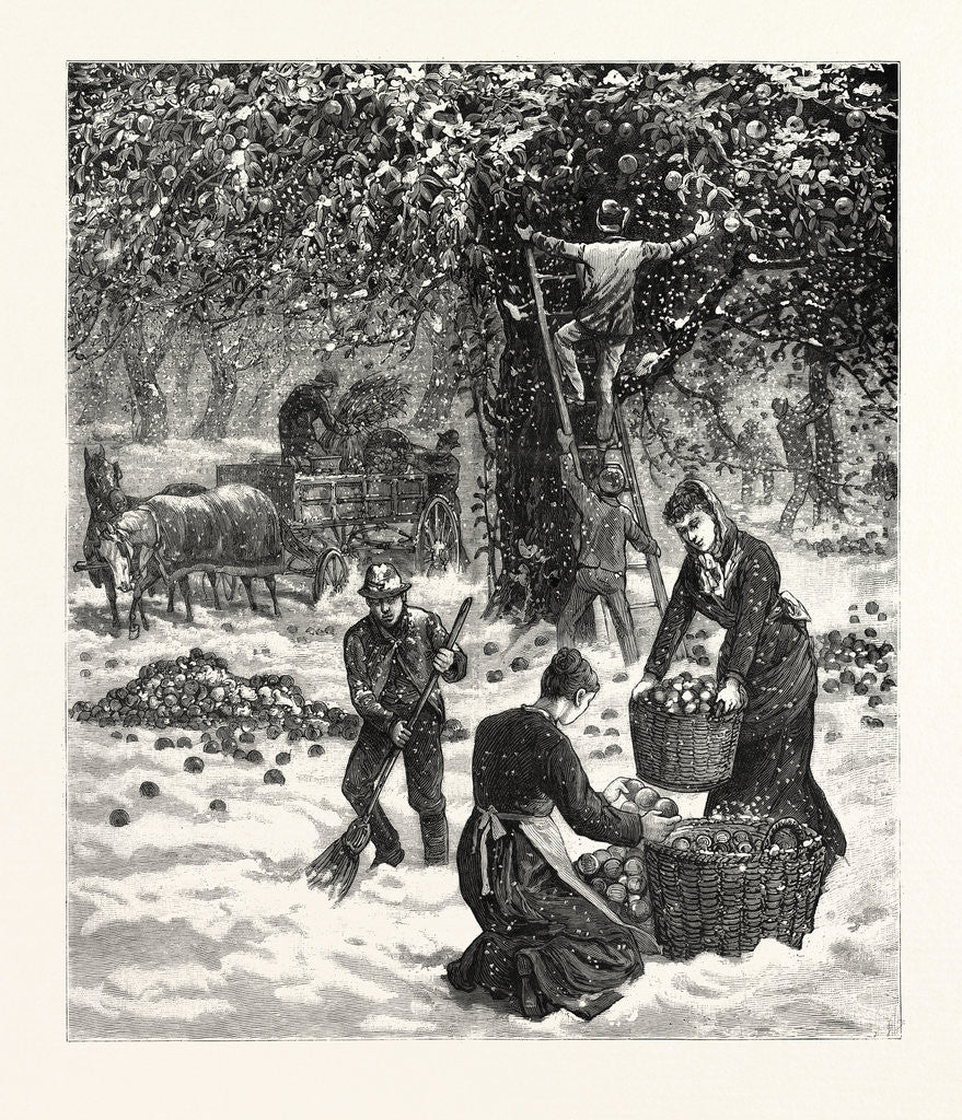 Detail of The Great October Storm Farmers Hastily Gathering Their Apples in the Face of the Snow-Storm in Western New York October 19th by Anonymous