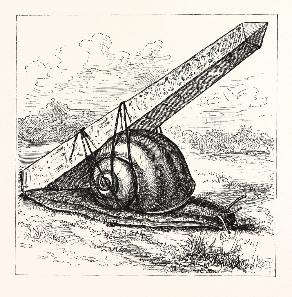 Detail of Rapid Transit and the Obelisk. by Anonymous