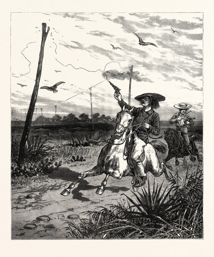 Detail of Texas: Cattle Herders Indulging in Revolver Practice on Telegraph Insulators by Anonymous