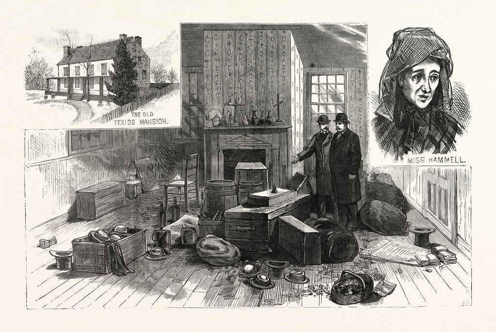 Detail of The Singular Story of Mary Hammell and Her Alleged Persecutor: Mrs. Allen's Remarkable Collections in the Texido Mansion, Flushing by Anonymous