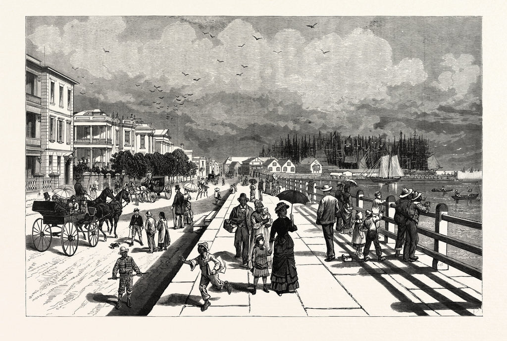Detail of South Carolina: The South in 1880, East Battery, the Promenade on the Southern End of East Bay Street. Charleston by Anonymous