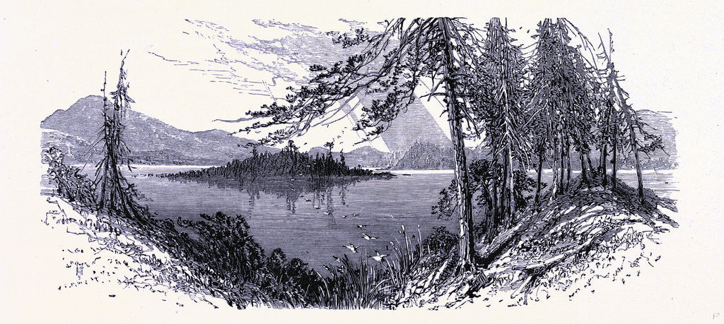 Detail of Long Lake by Anonymous