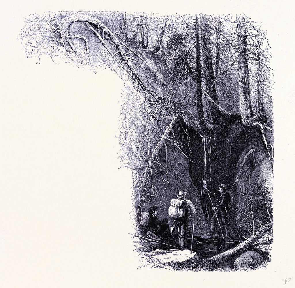 Detail of Source of the Hudson by Anonymous