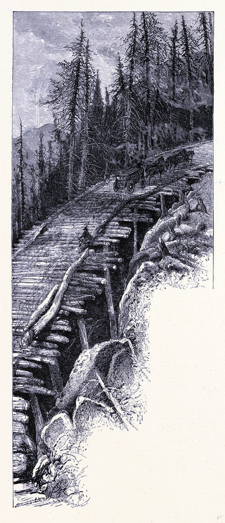 Detail of A Path on Mount Mansfield by Anonymous