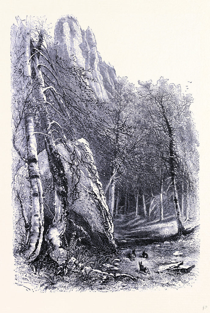 Detail of Mount Mansfield by Anonymous
