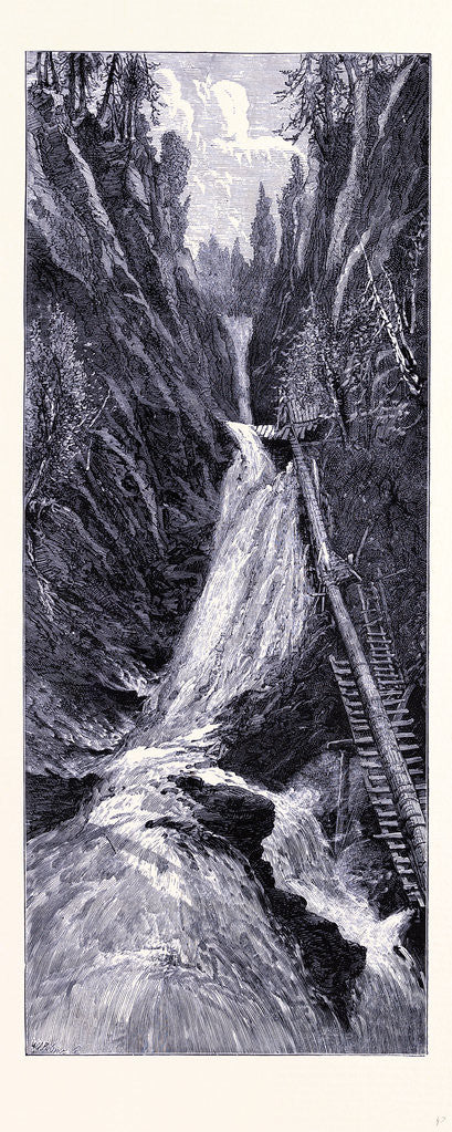 Detail of The Moss-Glen-Cascade by Anonymous