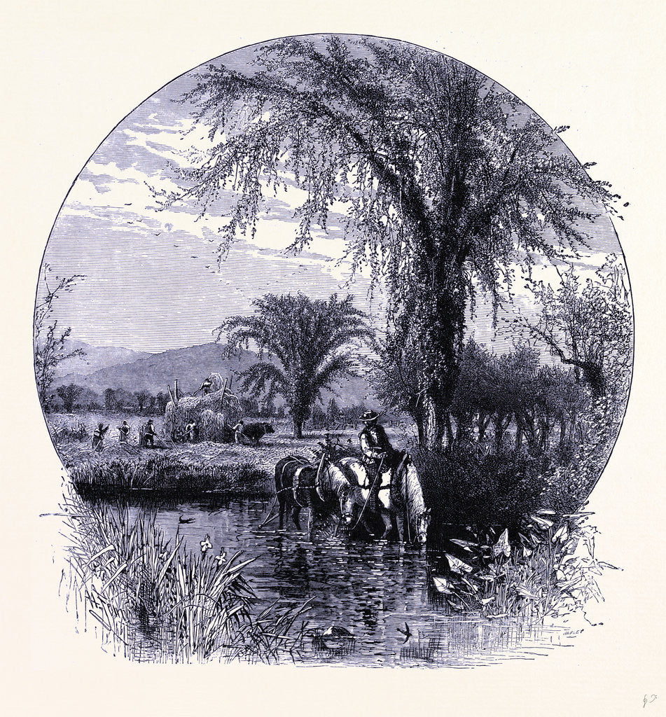 Detail of The Conway Meadows by Anonymous