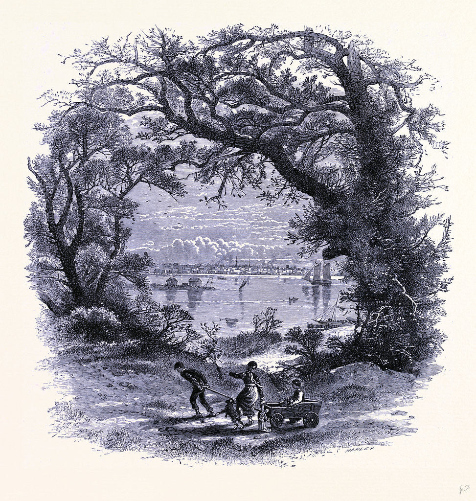 Detail of Portland Seen from Peak Island by Anonymous