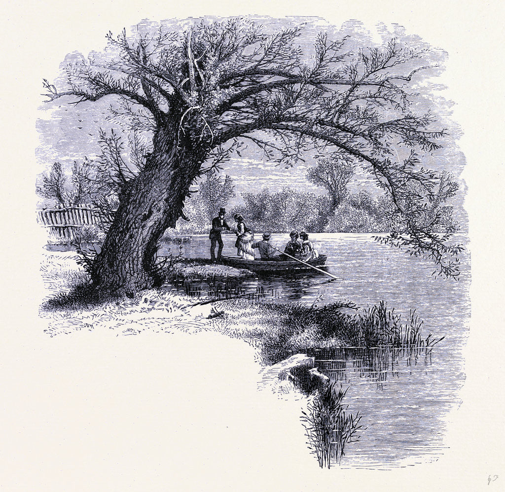 Detail of Boston Common Boston by Anonymous