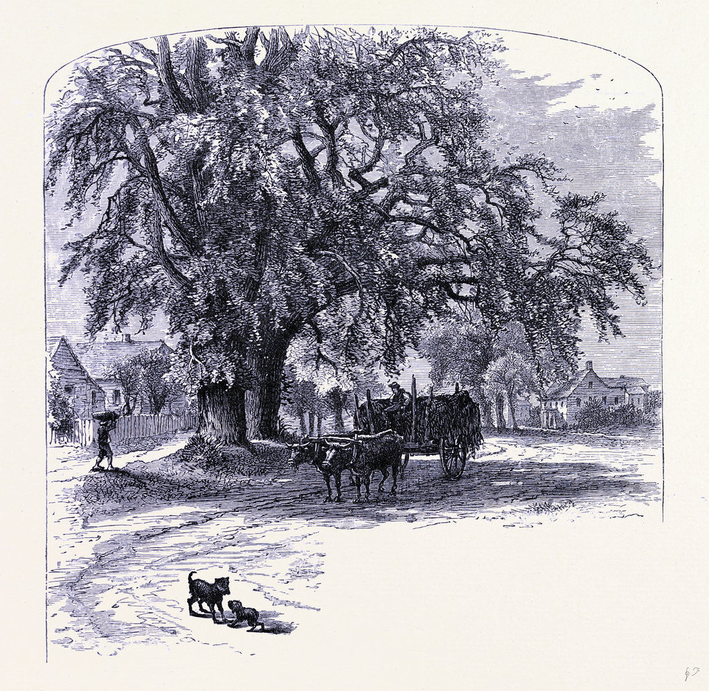 Detail of Old Saybrook by Anonymous