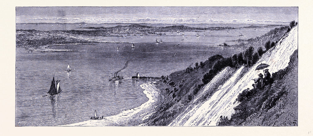 Detail of White Hill by Anonymous