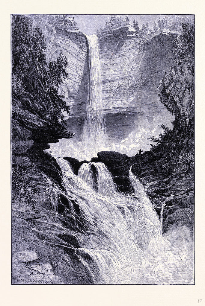 Detail of The Waterfall of Catskills by Anonymous