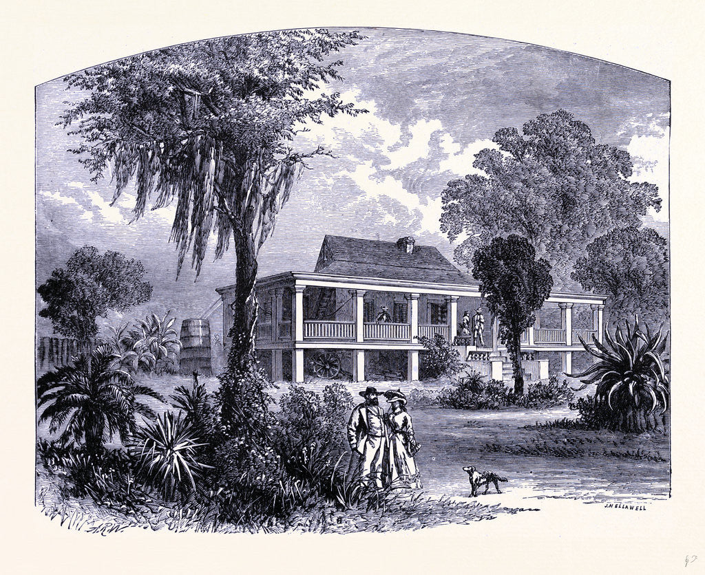 Detail of A House Near the Mississipi by Anonymous