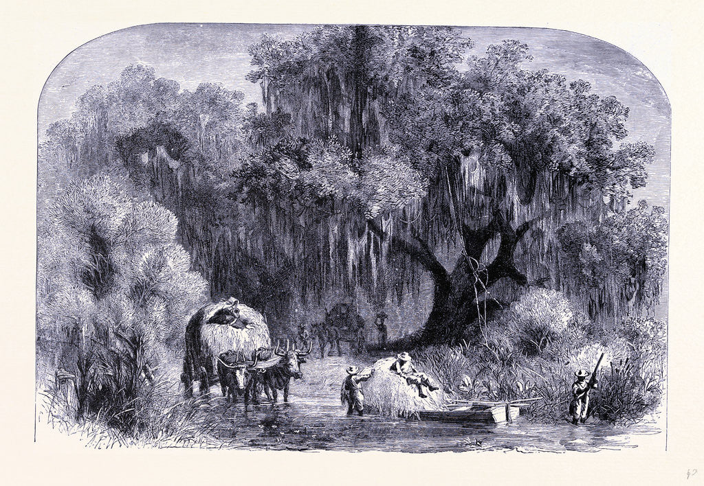 Detail of Rural Life by Anonymous