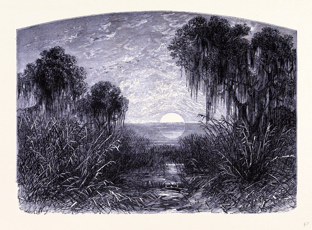 Detail of Sunset on the Mississipi by Anonymous