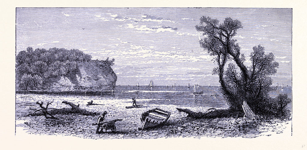 Detail of The River Mouth of the Rocky River by Anonymous