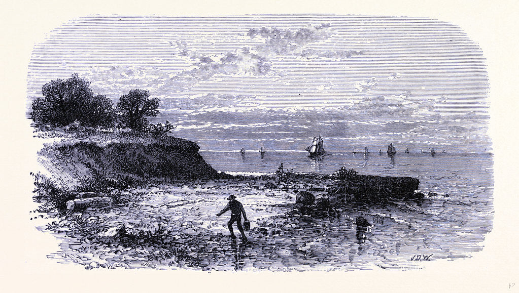 Detail of Kelley's Island by Anonymous
