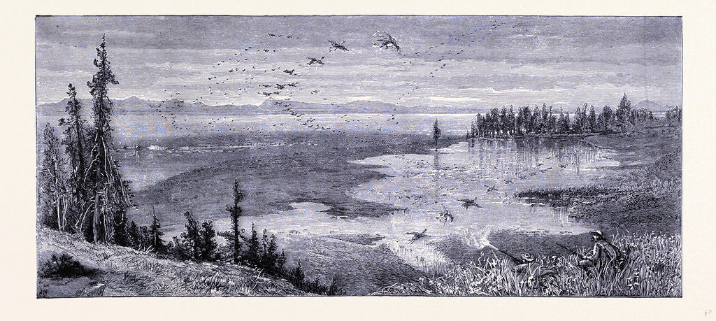 Detail of Yellowstone Lake by Anonymous