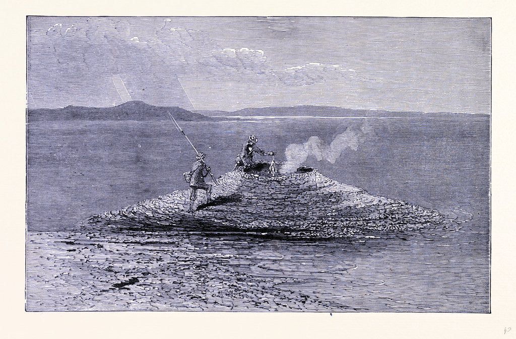 Detail of The Crater of the Hot Spring by Anonymous