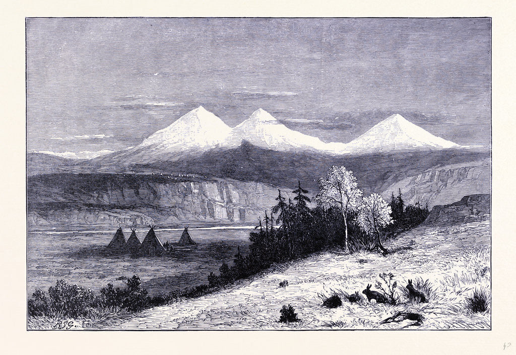 Detail of Three Sisters by Anonymous